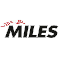 Акционные цены на тормозные колодки Miles!